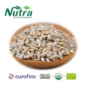 Organic Sunflower Seeds Kernels